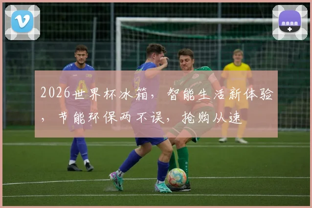 2026世界杯冰箱，智能生活新体验，节能环保两不误，抢购从速