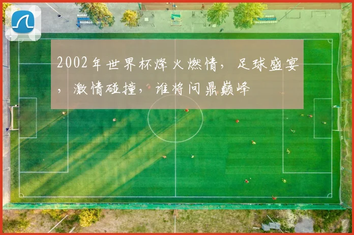 2002年世界杯烽火燃情，足球盛宴，激情碰撞，谁将问鼎巅峰