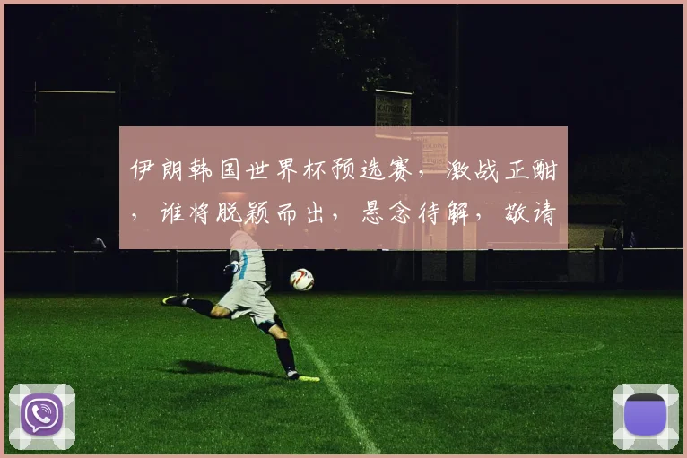 伊朗韩国世界杯预选赛，激战正酣，谁将脱颖而出，悬念待解，敬请关注